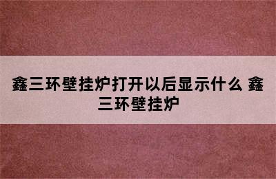 鑫三环壁挂炉打开以后显示什么 鑫三环壁挂炉